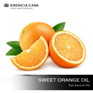 스위트 오렌지 에센셜오일(Sweet orange EO)에센시아카사