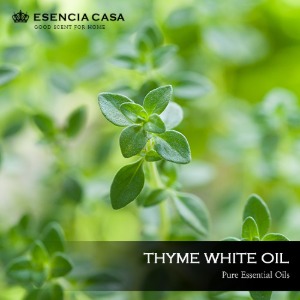 화이트 타임 에센셜오일(White Thyme EO) – 유기농에센시아카사