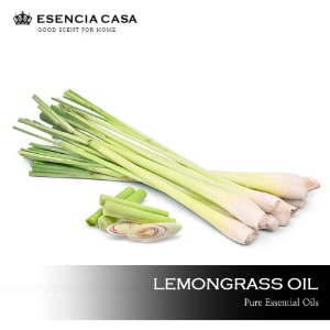 레몬그라스 에센셜오일(Lemongrass EO) – 유기농에센시아카사