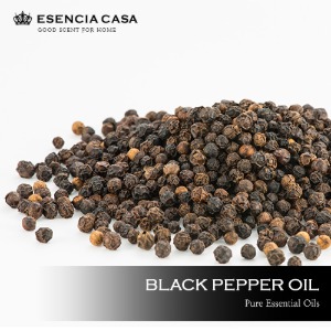 블랙페퍼 에센셜오일(Black Pepper EO) – 유기농에센시아카사